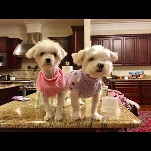 Meet your Posher, Vicky